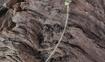 Cold Water Carp Fishing