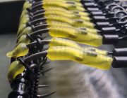 The Lock Ronnie Rigs for Solid Bags - OMC Aligners, Hook Beads and Lock Hooks