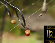 Ready Made Adam Penning Style Bottom Bait Carp Rigs