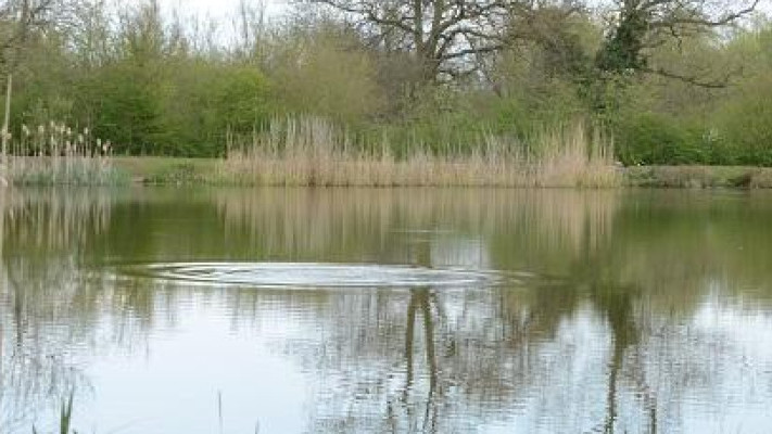 Spring Carp Fishing Rigs: Your Ultimate Guide to Early Season Success