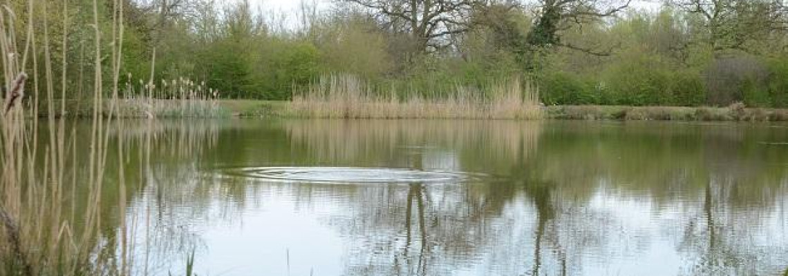 Spring Carp Fishing Rigs: Your Ultimate Guide to Early Season Success Spring Carp Fishing Rigs: Your Ultimate Guide to Early Season Success