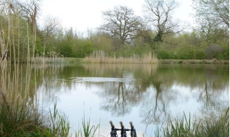 Spring Carp Fishing Rigs: Your Ultimate Guide to Early Season Success