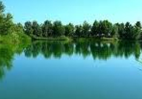 Master summer Carp fishing - reveal the best Carp rigs for Success