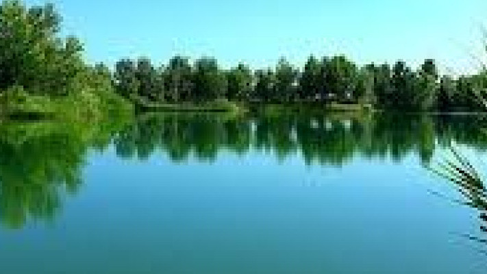 Master summer Carp fishing - reveal the best Carp rigs for Success