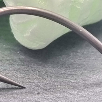Ricks Rigz Curve Shank Micro Barbed Carp Hooks