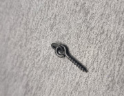 Metal Bait Screws With Oval Ring