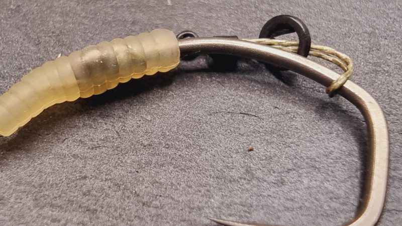 The Best Ready Made Carp Fishing Rigs for 2025