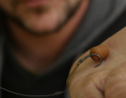 Ready Made Noodle Rigs for Wafters
