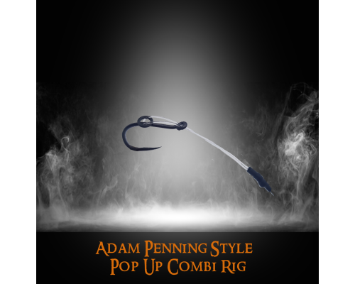Ready made Adam Penning Style pop up Reverse Combi Rig