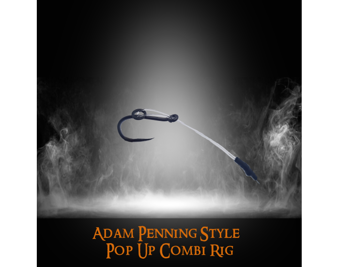 Ready made Adam Penning Style pop up Reverse Combi Rig