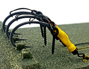 Solid bag rigs for carp fishing