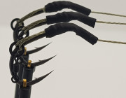 Slip D Carp Rigs