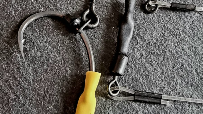 The Best Carp Rigs for Pop Ups