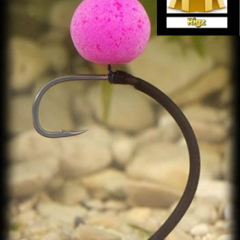 Withy Pool Rigs