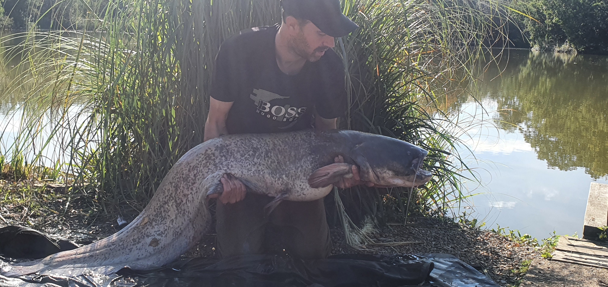 46lb Catfish caught by Craig Hayball using Hair Rig at Wintons Fishery