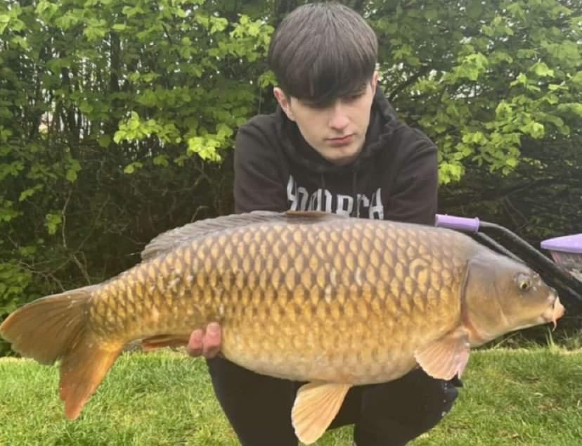 Unknown Carp caught by Unknwon using Tom Dove Style Spinner Rig