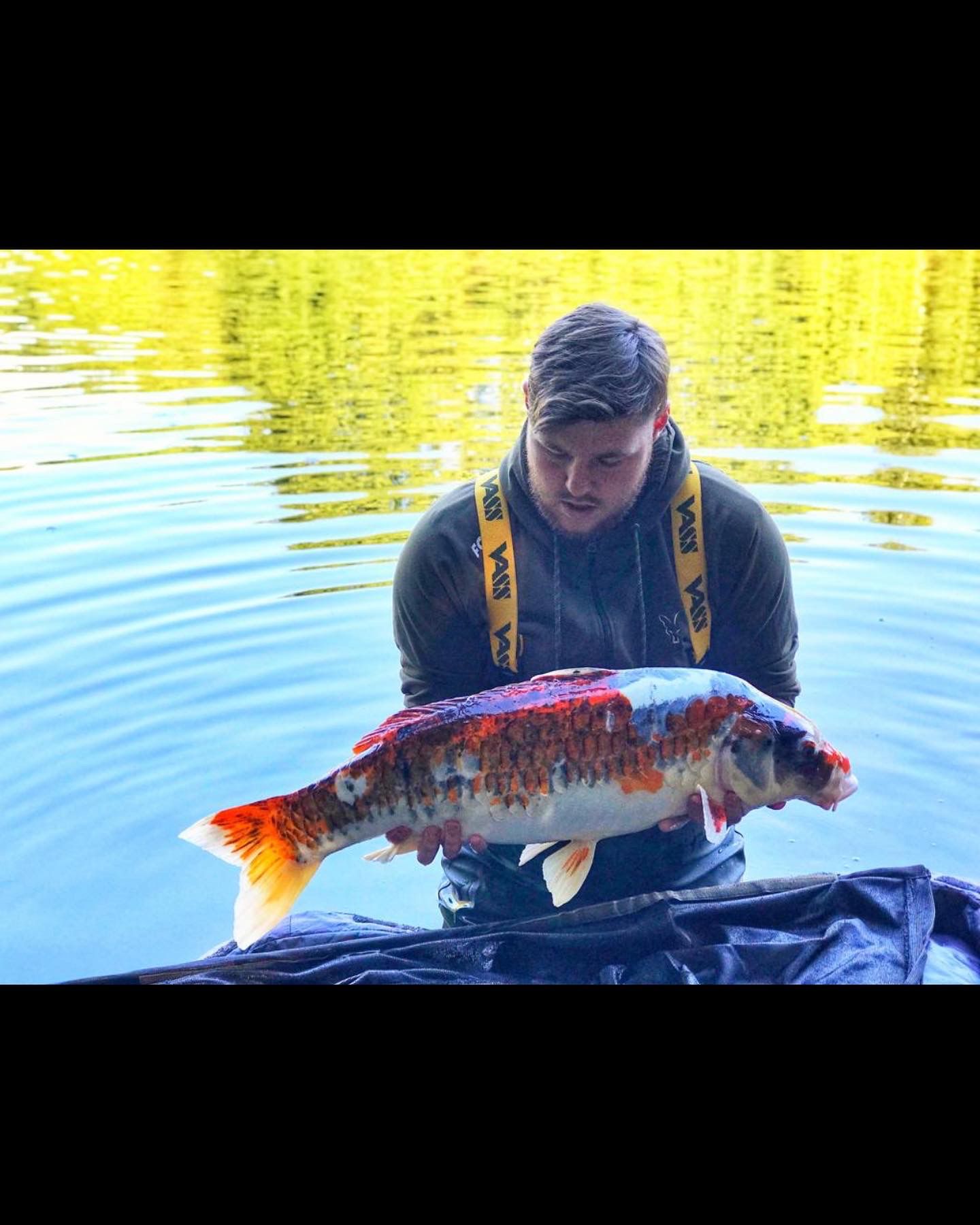 unkown Koi Carp caught by Unkown using Unknown at France