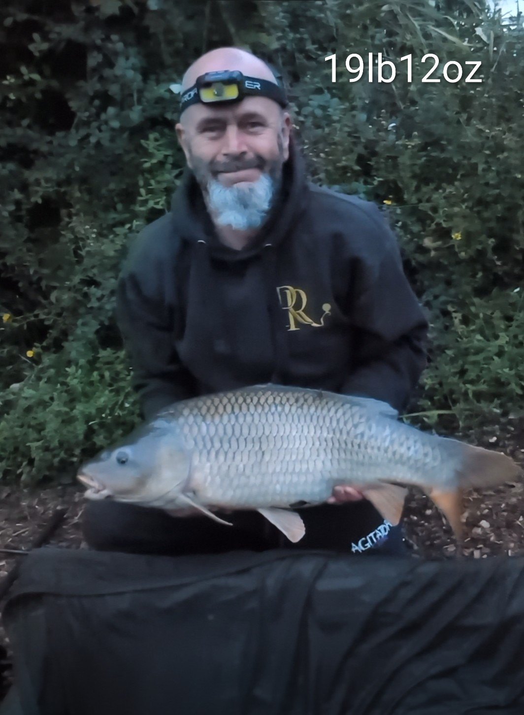 19lb12oz Carp caught by Dave Rees using Ricks Rigz Custom Rig