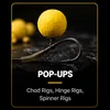 Pop up carp rigs